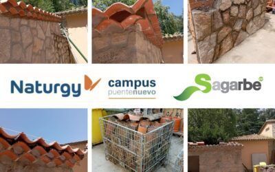 Naturgy confía de nuevo en Sagarbe para su Campus Puente Nuevo